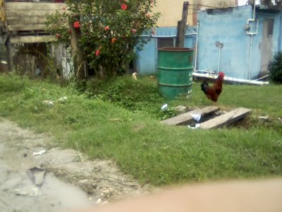 San Ignacio Jan 7 to 10 2015 156.jpg