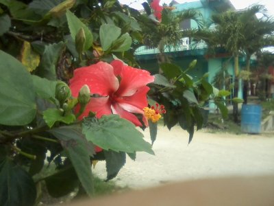 San Ignacio Jan 7 to 10 2015 159.jpg