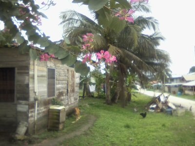 San Ignacio Jan 7 to 10 2015 165.jpg