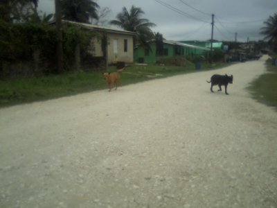 San Ignacio Jan 7 to 10 2015 172.jpg