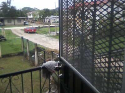 San Ignacio Jan 7 to 10 2015 221.jpg