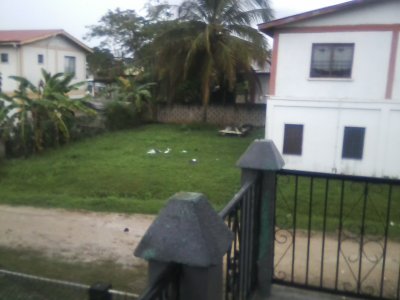 San Ignacio Jan 7 to 10 2015 222.jpg