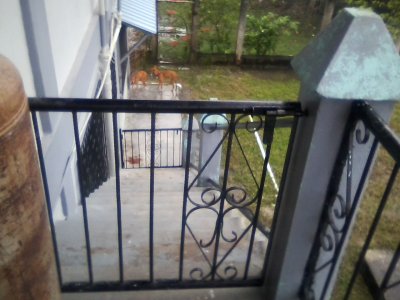 San Ignacio Jan 7 to 10 2015 226.jpg