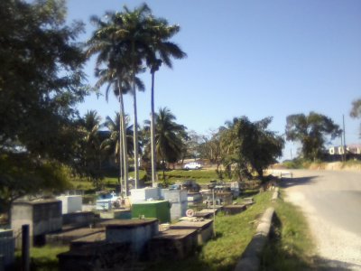 beautiful but very full resting place.jpg