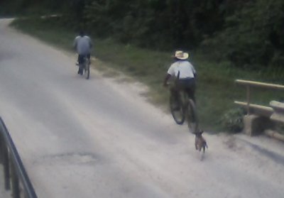 Around Cayo and Tree Hunting jan 2015 95.jpg