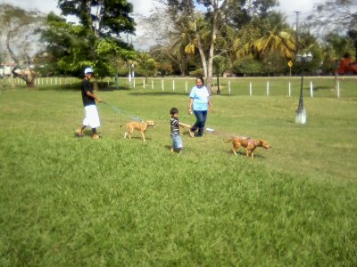 in the park.jpg