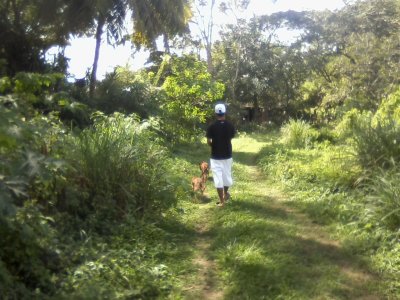 orange grove ner town.jpg