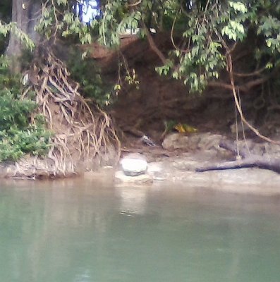 la Ruta Maya Training Day 2 Feb 10 2015 14.jpg