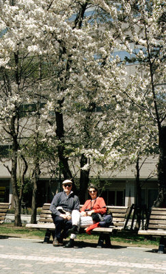 Sapporo1.jpg