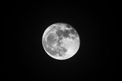 DSC_6541 Moon Full + 1 edits.jpg