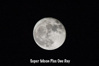 Super Moon Nov 15 2016 Nikon D700 + Sigma 170 to 500mm DSC_7027.jpg