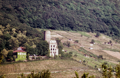 Vineyards and small castle - The Bergstra Route 