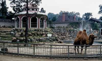 Zoo in Seoul