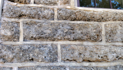 Coral Building Blocks
