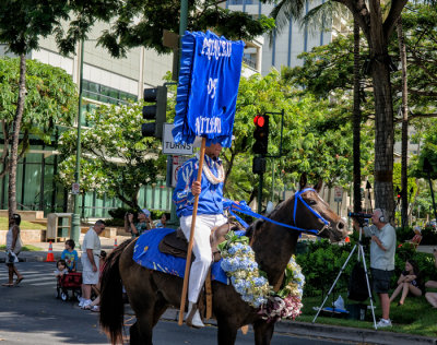 Ni'ihau Pa'u Princess