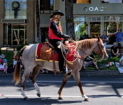 Paniolo (Hawaiian Cowboy) in Lana'i entourage