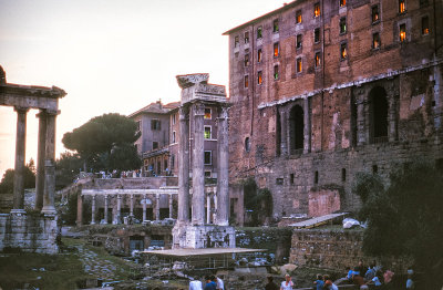 Rome Forum Ruins  