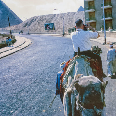 Camel ride