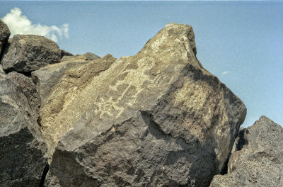 g9/83/331983/3/162722630.R0KCDKMI.jpg