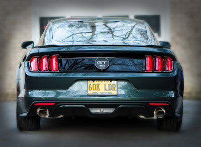 _DSC8255s1400.jpg