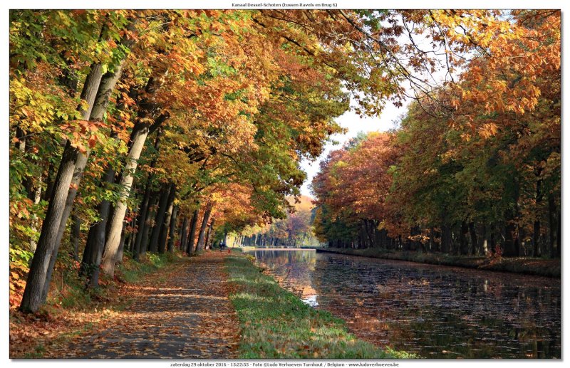 Kanaal Dessel - Schoten