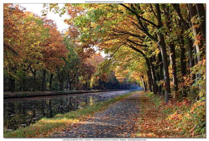 Kanaal Dessel - Schoten