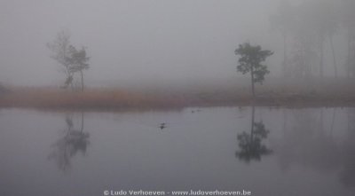 Turnhout / Kempen (Belgium)Het Bels Lijntje - Kleine Klotteraard