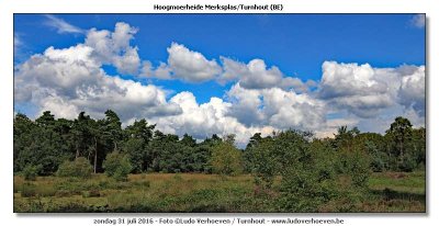 Hoogmoerheide Merksplas / Turnhout