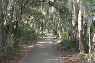 Fish Hawk Trails