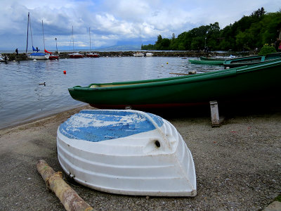 g9/83/550183/3/150476765.X3DPpG06.jpg