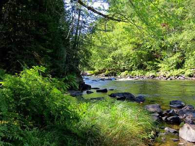 g9/83/550183/3/152233560.VXcmlTM6.jpg