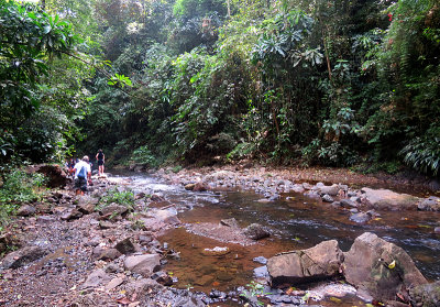 g9/83/550183/3/154092795.515cxJB1.jpg