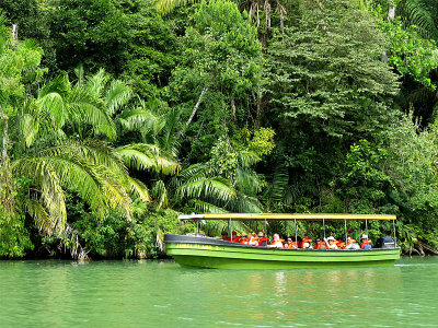 CO-TOURISME DANS LA JUNGLE