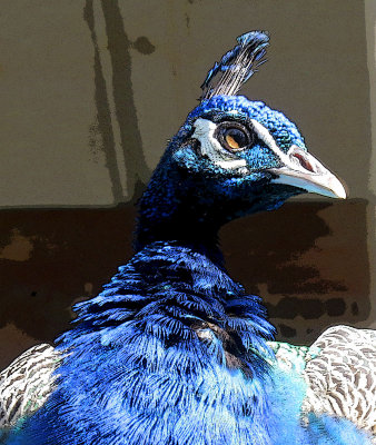 g9/83/550183/3/154831376.gSItLI2T.jpg