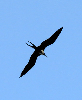 g9/83/550183/3/154831433.x5pplKkT.jpg