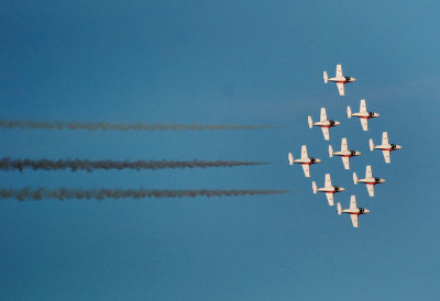 Escadrille des Snowbirds