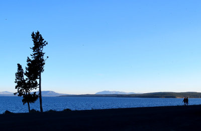 AUTOUR DU LAC YELLOWSTONE