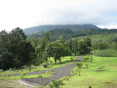 view of arenal volcano from our cabin - you can't see the top because of the cloud cover