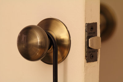 Schlage  (400mm 1:5.6 L @ closest focusing distance)