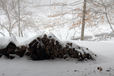Backyard in snow