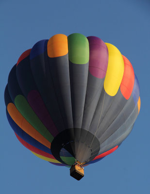 Balloon fly-by in our back yard III