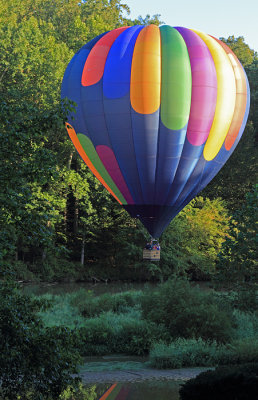 Balloon fly-by in our back yard II