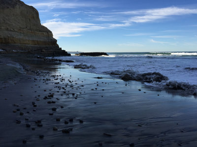 Torrey Pines State Beach, San Diego