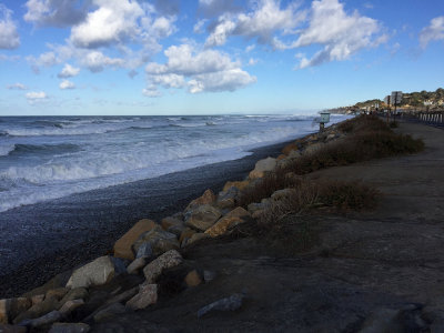 Torrey Pines State Beach, San Diego