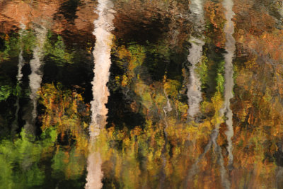 Fall colors