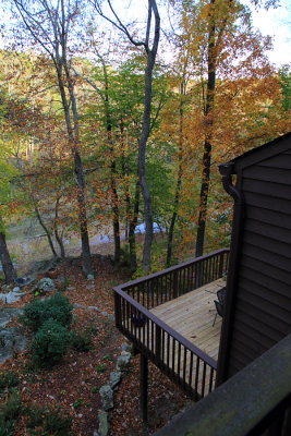 Fall colors