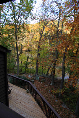Fall colors
