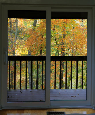 Fall colors