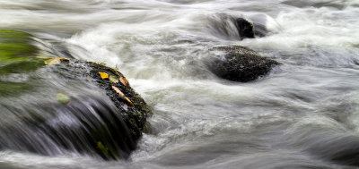 River near Rydal