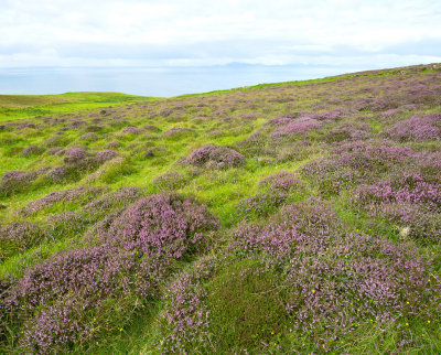 Waternish peninsula Isle of Skye